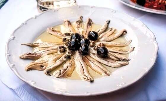 Anchovy in olive oil 