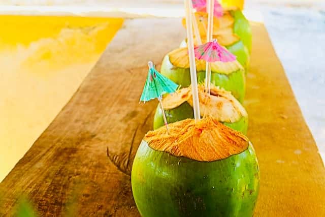 coconut cocktails