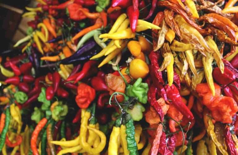 39 best chilli free tips and tricks