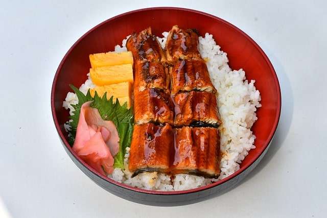 eel rice bowl