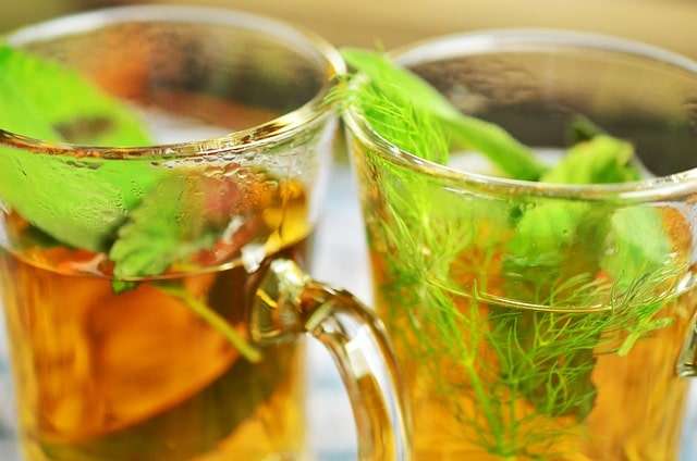 fennel herbal tea