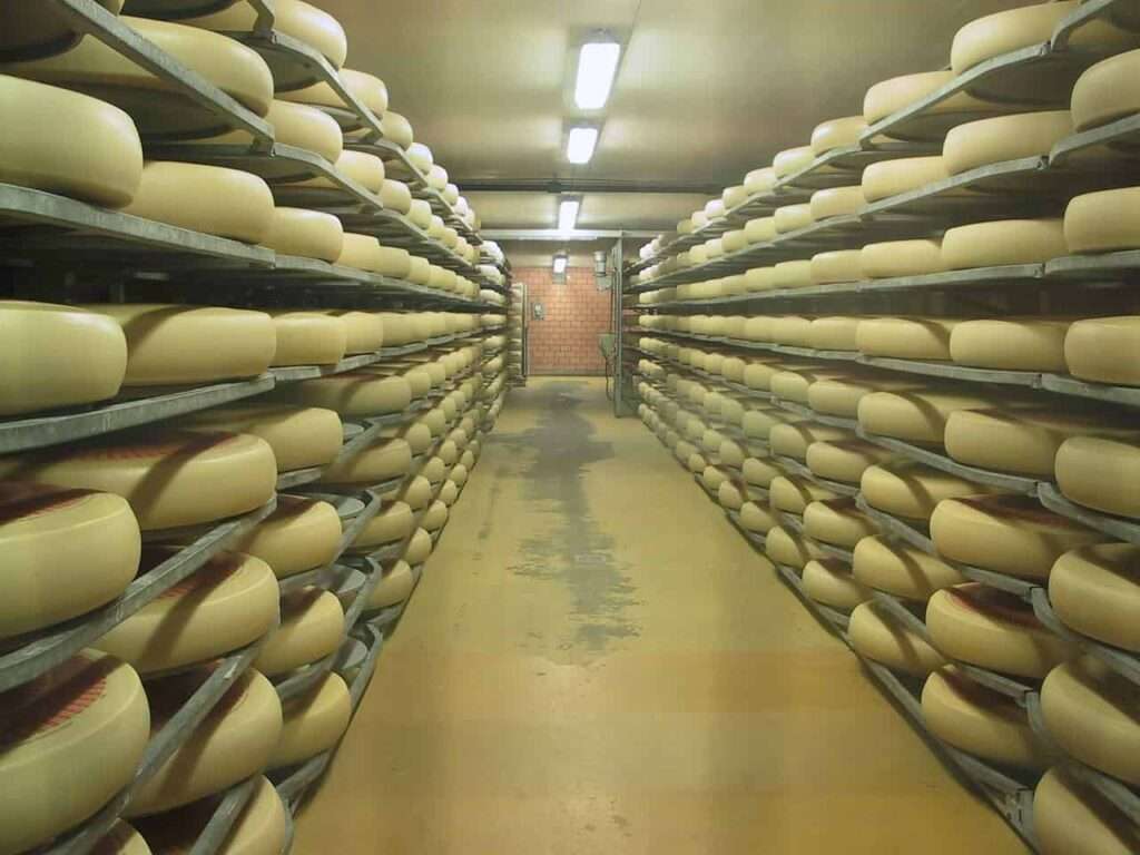 Emmental cheese factory