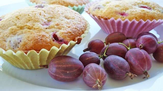 gooseberry muffins