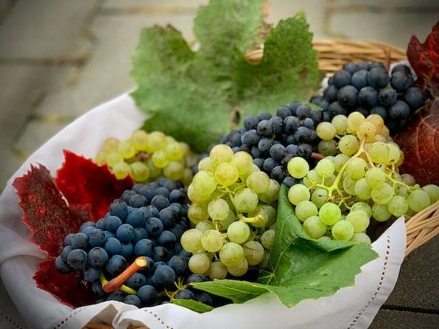 grapes multiple colours