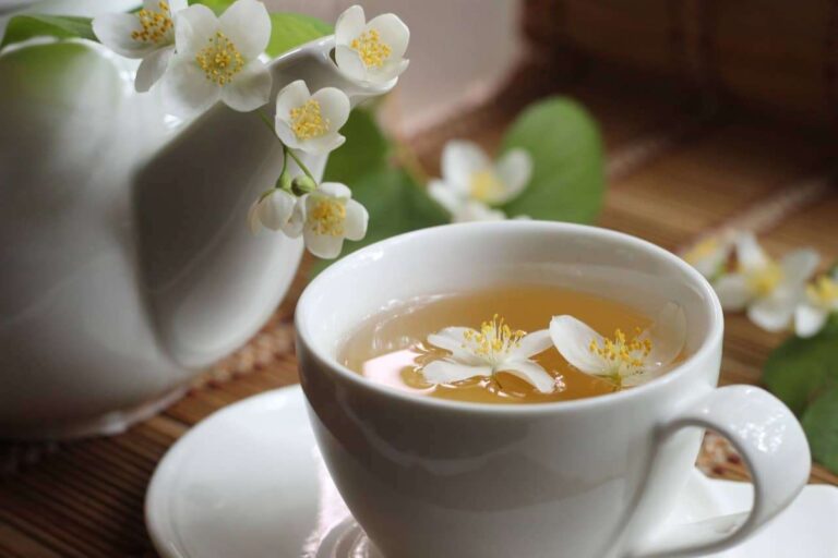 33 top jasmine tea kitchen insights and benefits