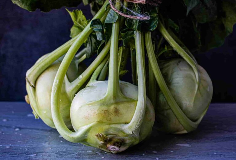 32 top kohlrabi professional insights and benefits
