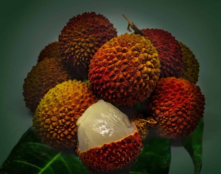 31 free lychee kitchen insights and benefits