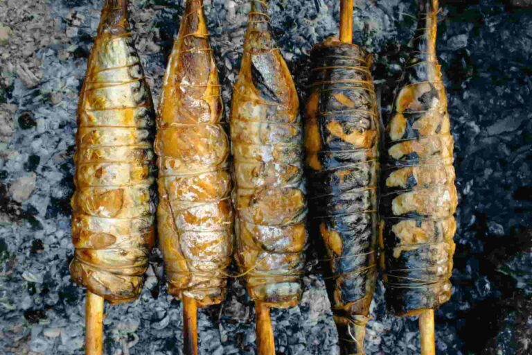 33 free mackerel kitchen insights and benefits