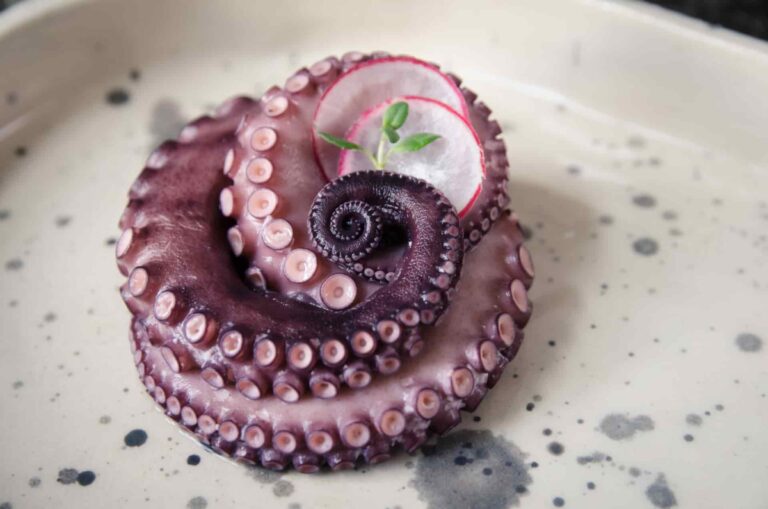 Octopus 37 free kitchen insights and benefits