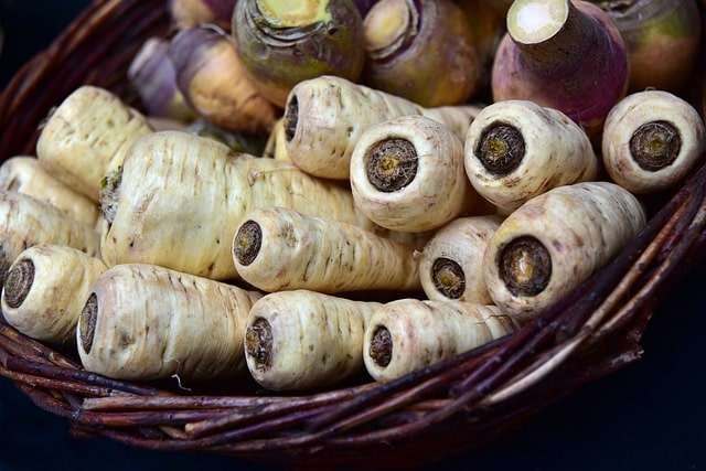 Basket of parsnip and turnips