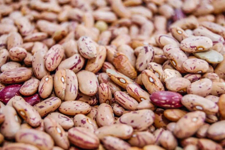 Pinto beans 101-kitchen insights and benefits