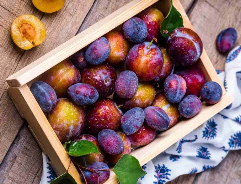 Plums 101-kitchen insights and benefits