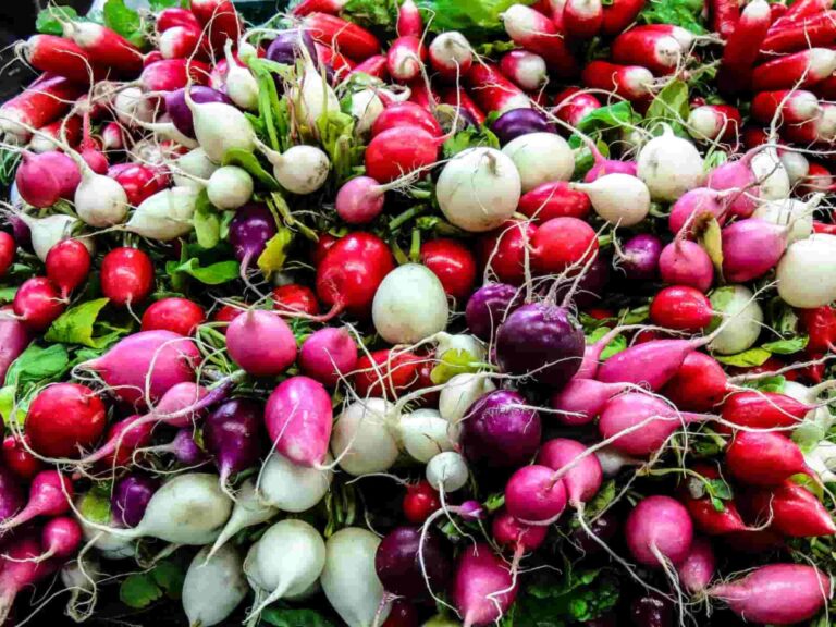 30 top radish kitchen insights and benefits