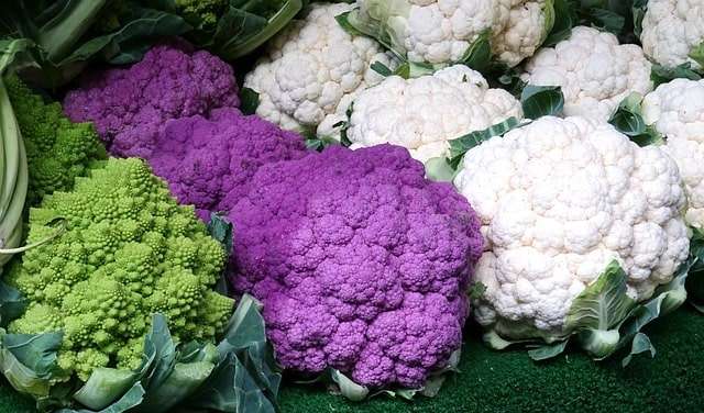 Romanesco, purple and white cauliflowers