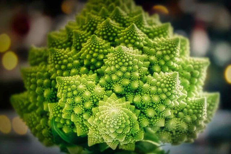 30 top Romanesco kitchen insights and benefits