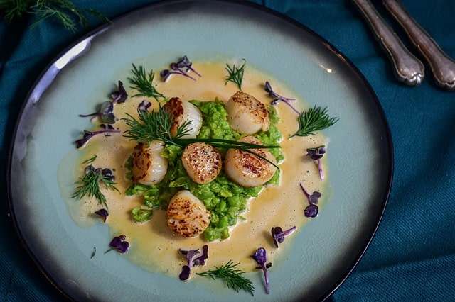 Scallops with peas and white sauce dish