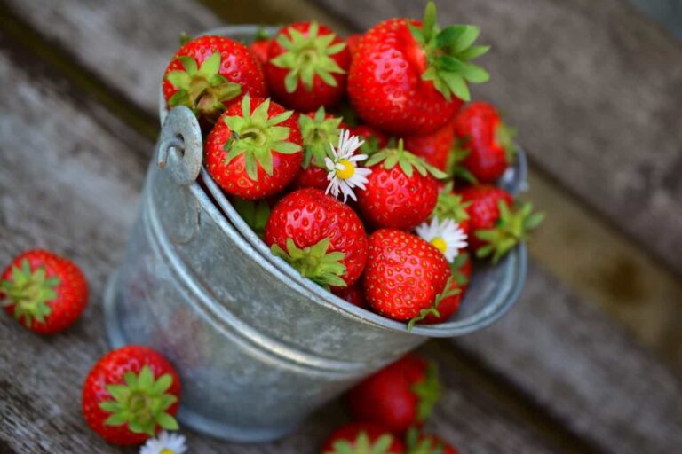 29 free strawberry kitchen insights and benefits