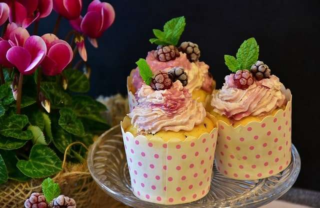 Berries and sugar cupcakes