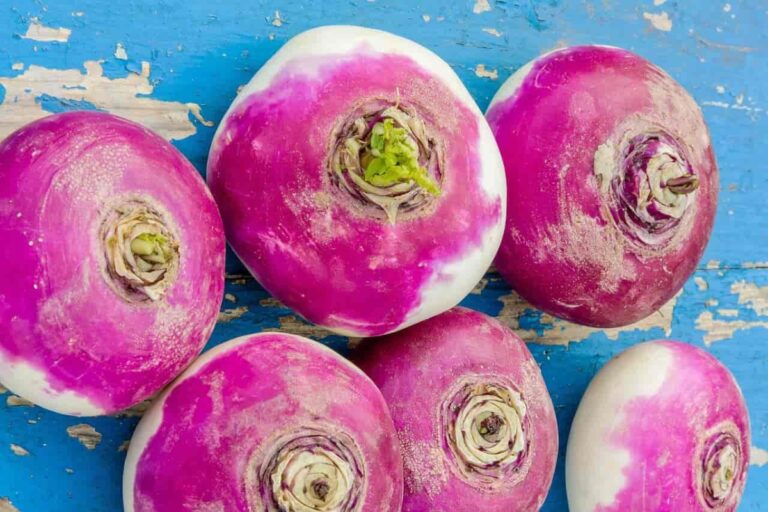 32 free turnip kitchen insights and benefits